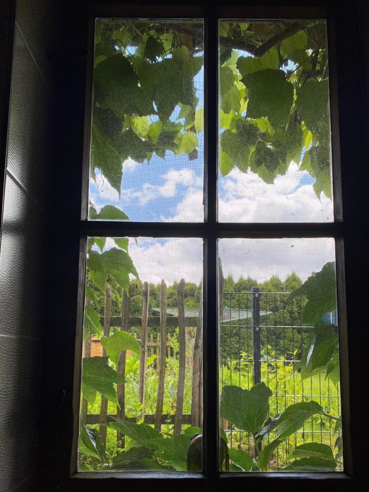 Appartement Doesjes Huis Naumburg  Zewnętrze zdjęcie